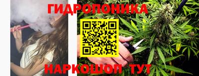 ПСИЛОЦИБИНОВЫЕ ГРИБЫ Дубна