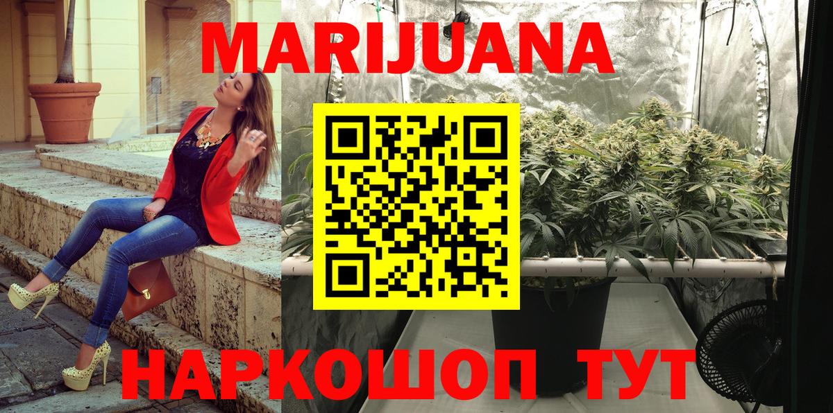 Канабис SATIVA & INDICA Можга